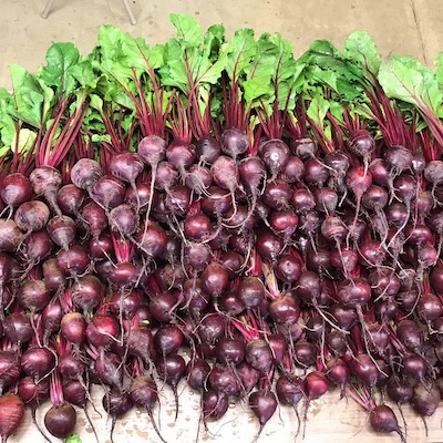 Beets, mixed bunch