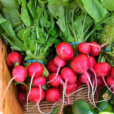 Radish